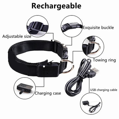 USB Rechargeable LED Light Dog Collar For Night Safety