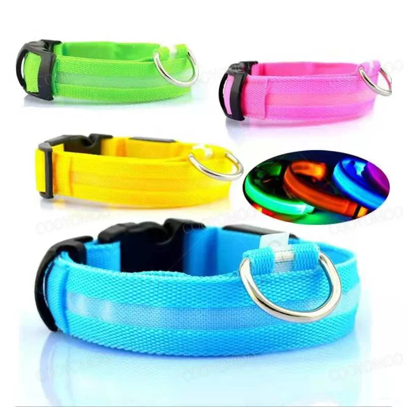 USB Rechargeable LED Light Dog Collar For Night Safety