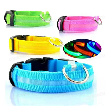 USB Rechargeable LED Light Dog Collar For Night Safety