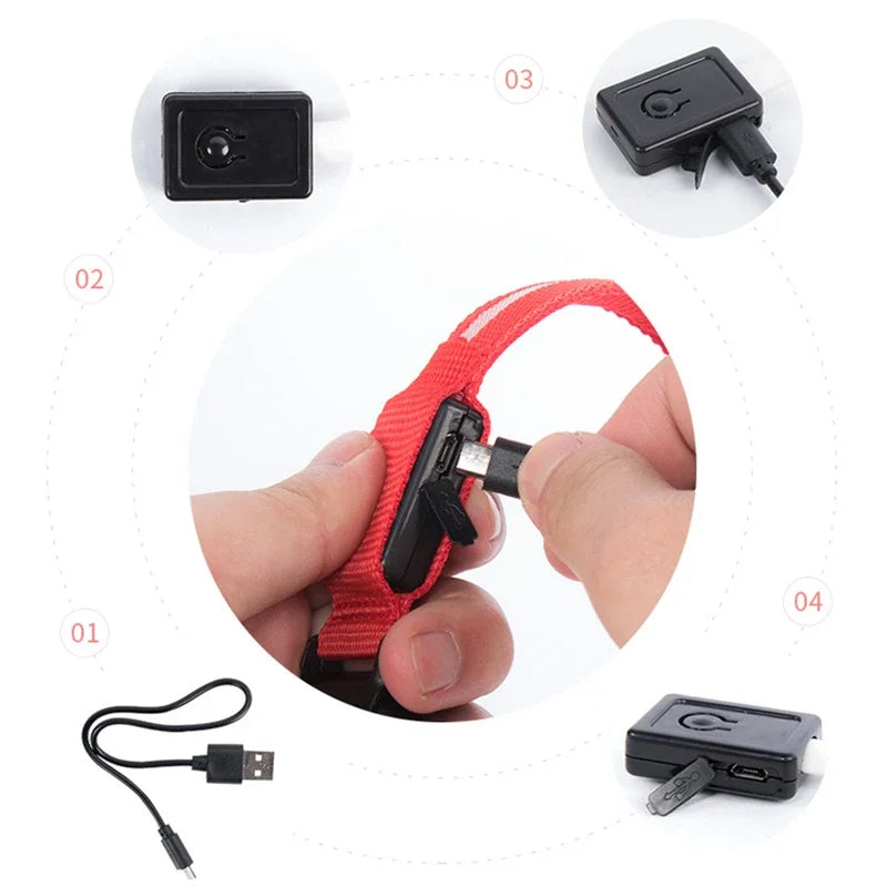 USB Rechargeable LED Light Dog Collar For Night Safety